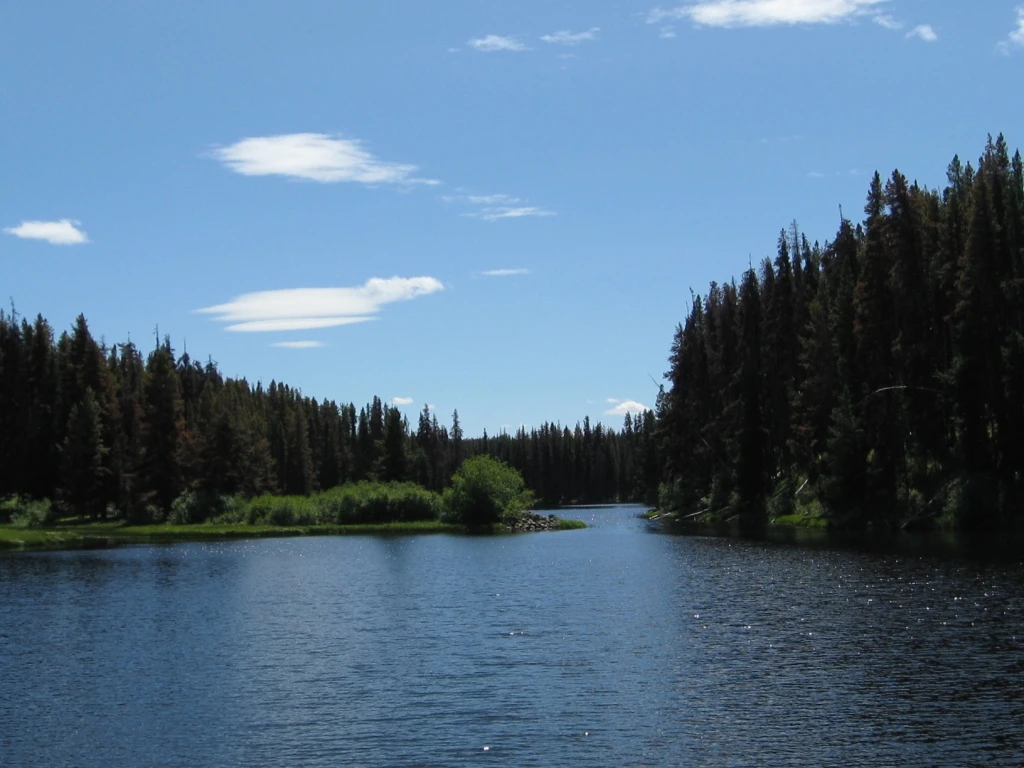 Photo: Recreation Sites and Trails BC. © Province of British Columbia, licensed under the Open Government Licence – British Columbia. Bob'S Lake, photo 2