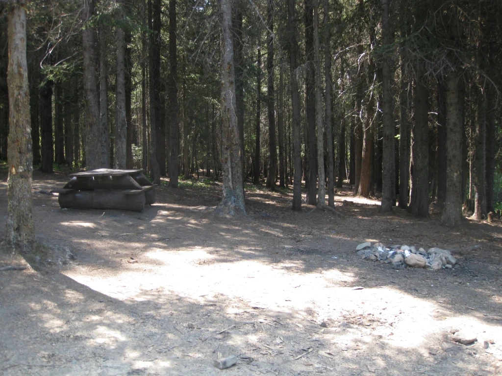 Photo: Recreation Sites and Trails BC. © Province of British Columbia, licensed under the Open Government Licence – British Columbia. Murray Lake South, photo 5