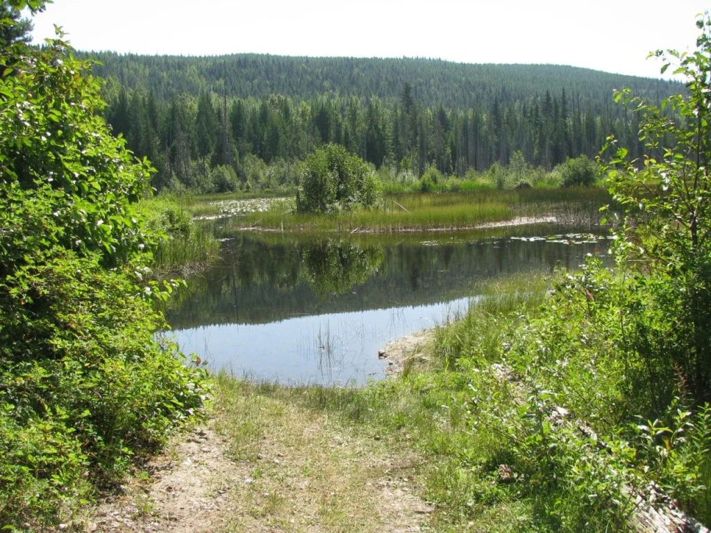 Photo: Recreation Sites and Trails BC. © Province of British Columbia, licensed under the Open Government Licence – British Columbia. Hidden Lake, photo 1