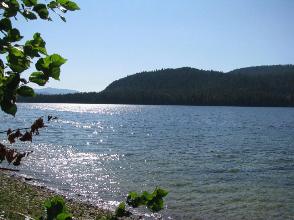 Photo: Recreation Sites and Trails BC. © Province of British Columbia, licensed under the Open Government Licence – British Columbia. Hidden Lake, photo 18