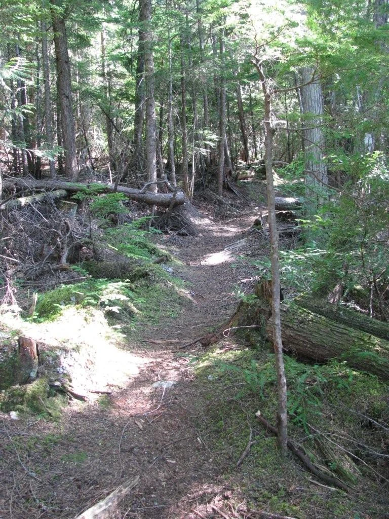 Photo: Recreation Sites and Trails BC. © Province of British Columbia, licensed under the Open Government Licence – British Columbia. Hidden Lake, photo 20