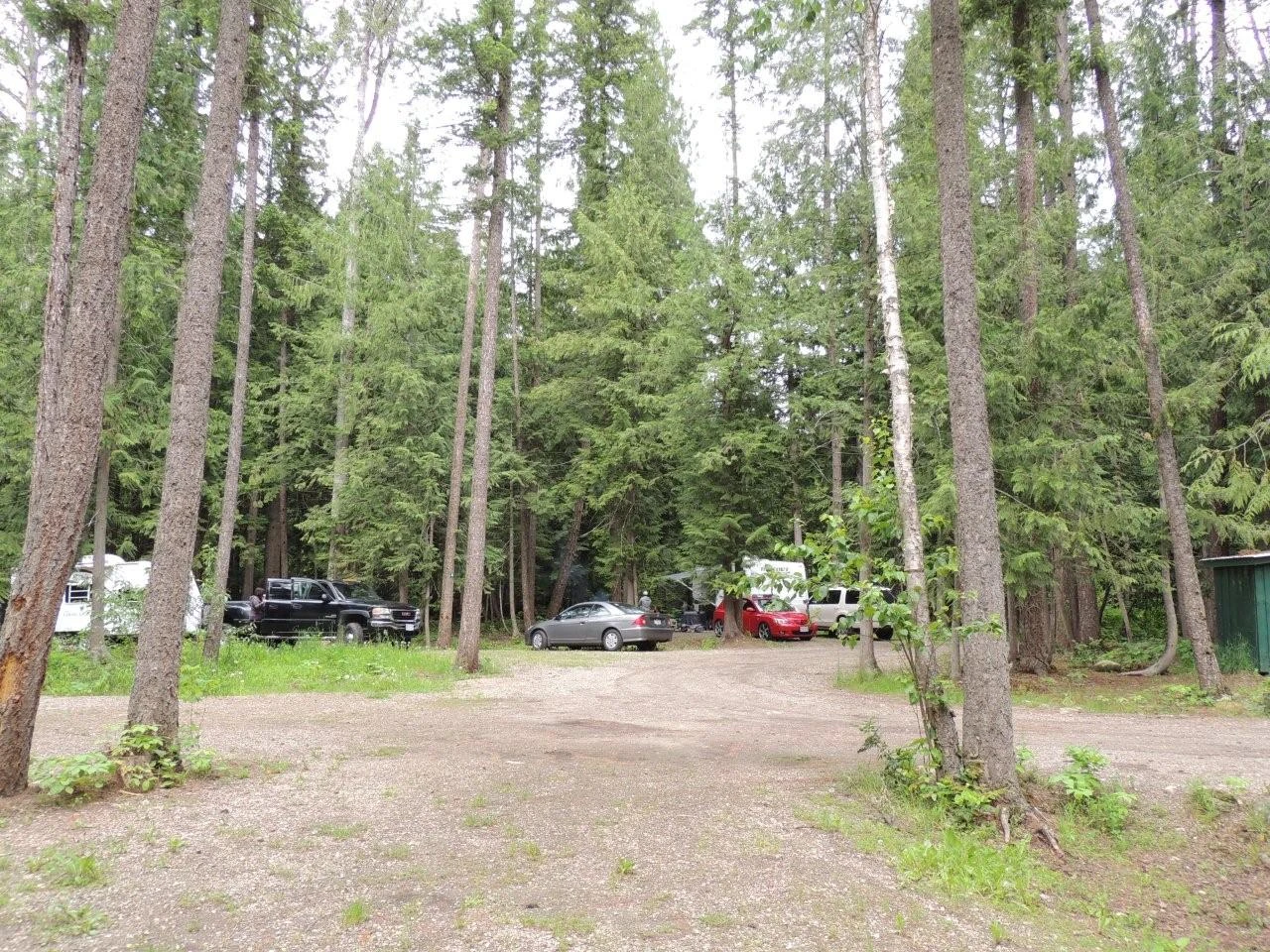 Photo: Recreation Sites and Trails BC. © Province of British Columbia, licensed under the Open Government Licence – British Columbia. COOKE CREEK, photo 4