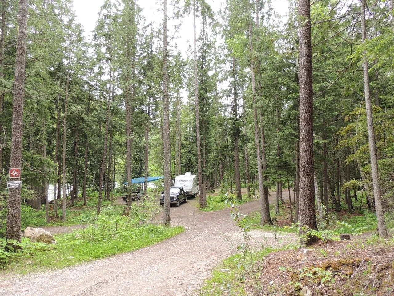 Photo: Recreation Sites and Trails BC. © Province of British Columbia, licensed under the Open Government Licence – British Columbia. COOKE CREEK, photo 2