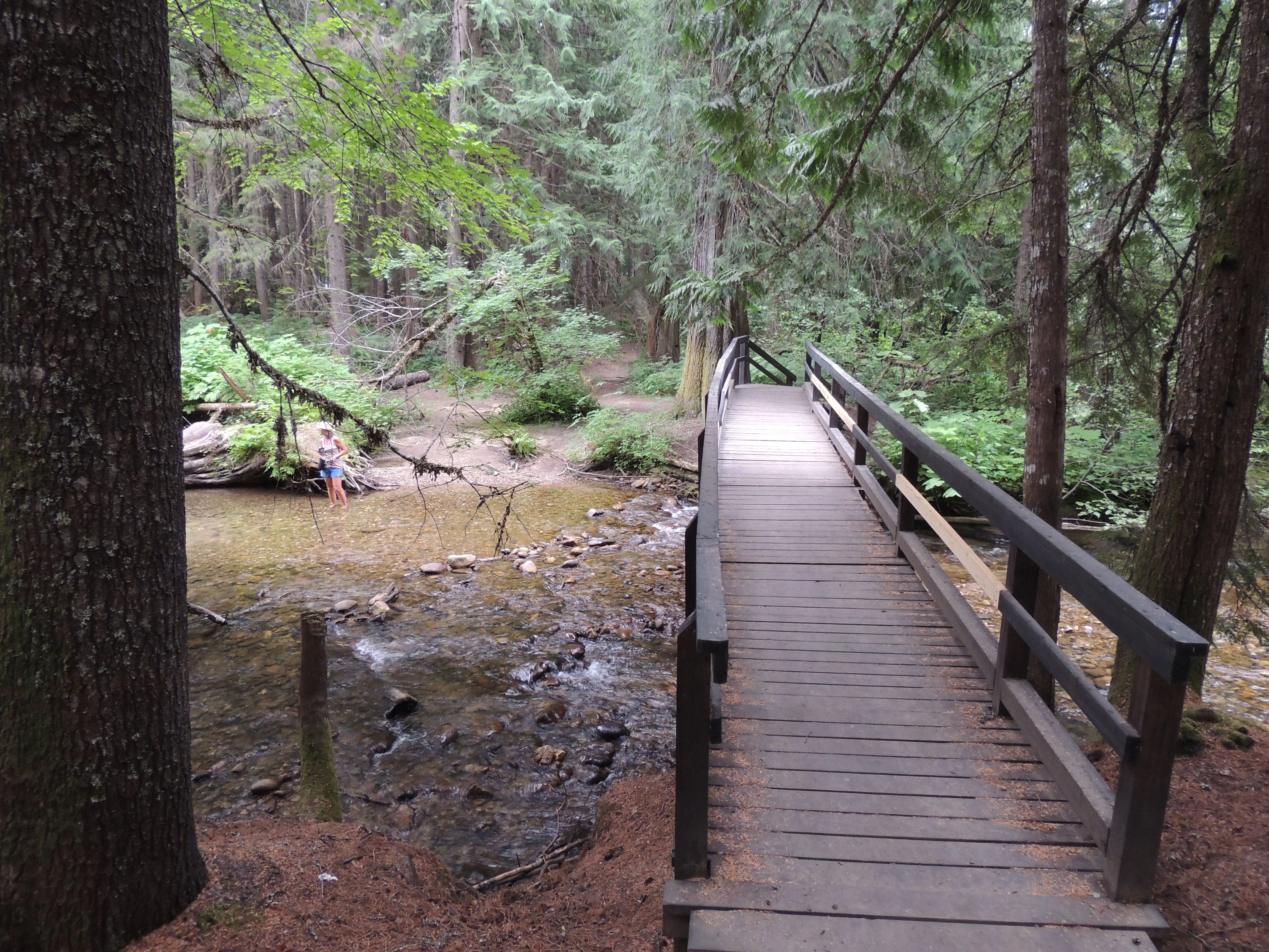 Photo: Recreation Sites and Trails BC. © Province of British Columbia, licensed under the Open Government Licence – British Columbia. Noisy Creek, photo 3