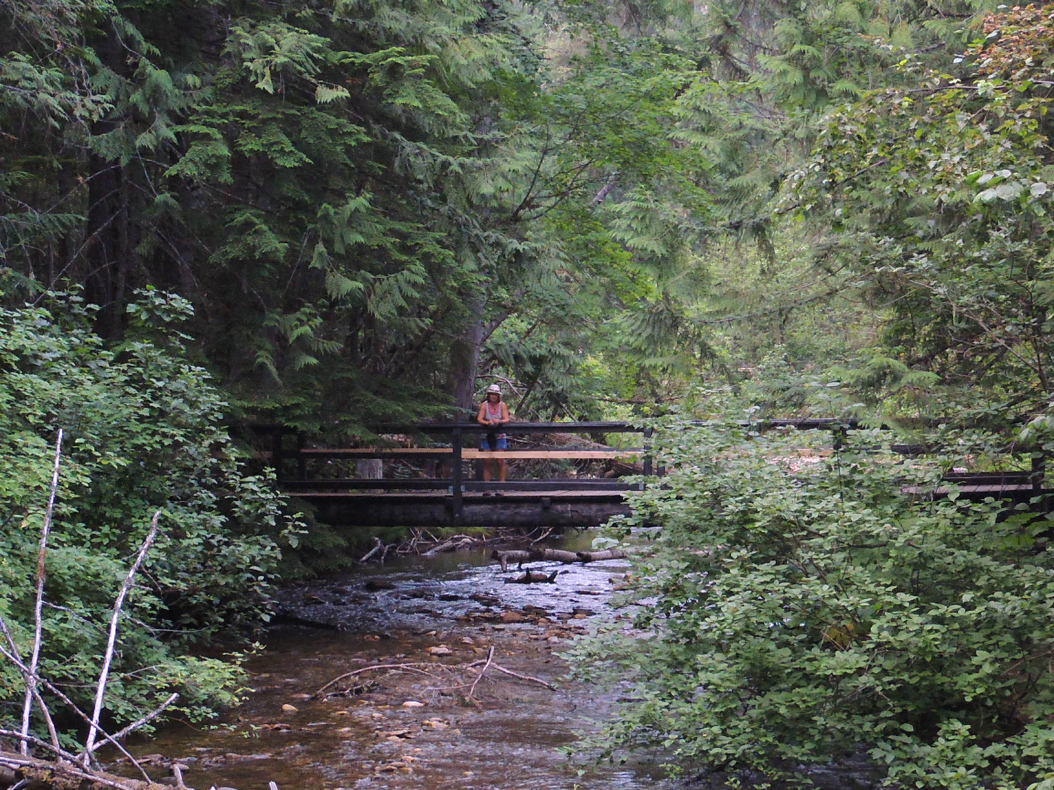 Photo: Recreation Sites and Trails BC. © Province of British Columbia, licensed under the Open Government Licence – British Columbia. Noisy Creek, photo 8