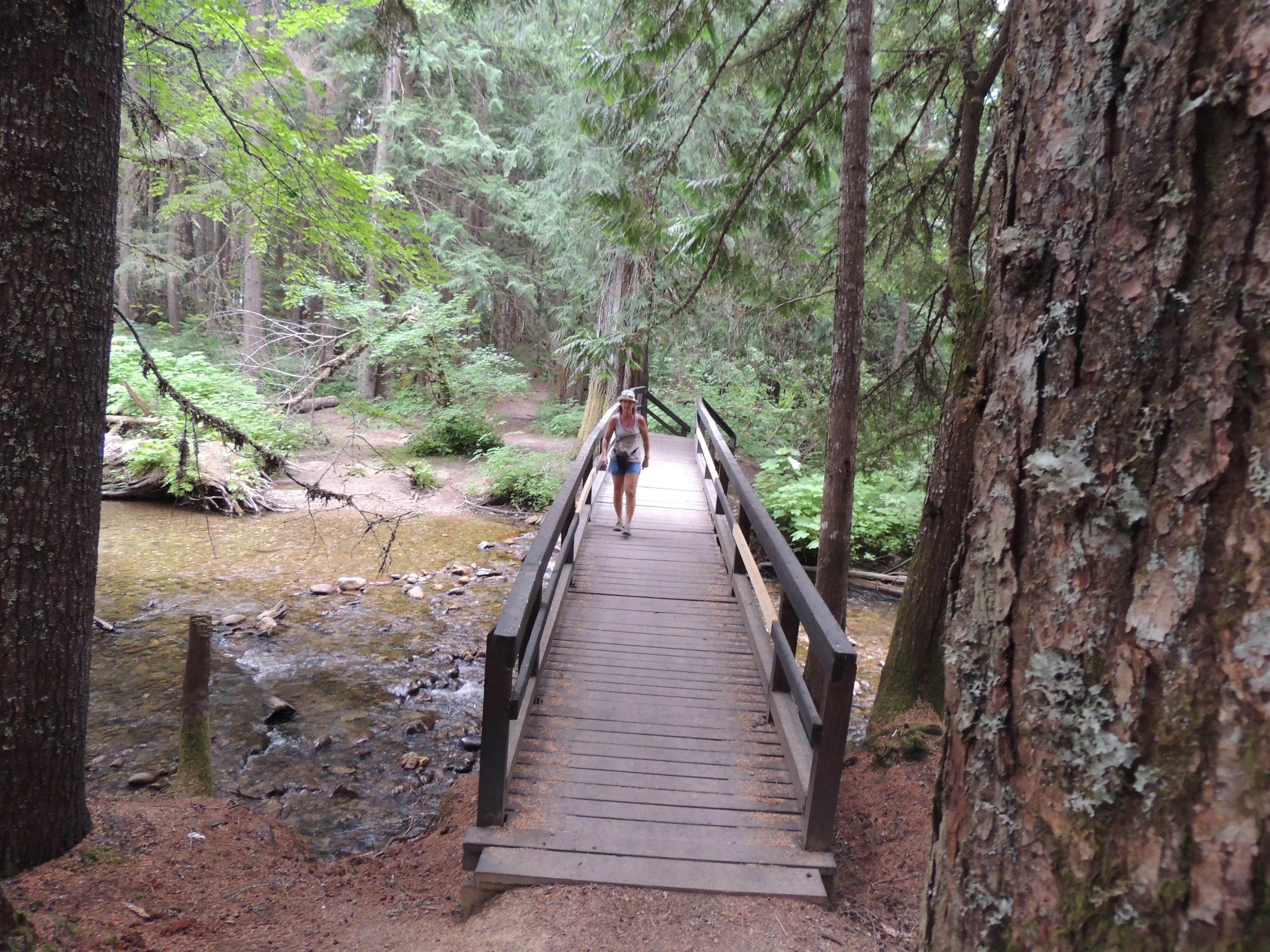Photo: Recreation Sites and Trails BC. © Province of British Columbia, licensed under the Open Government Licence – British Columbia. Noisy Creek, photo 4