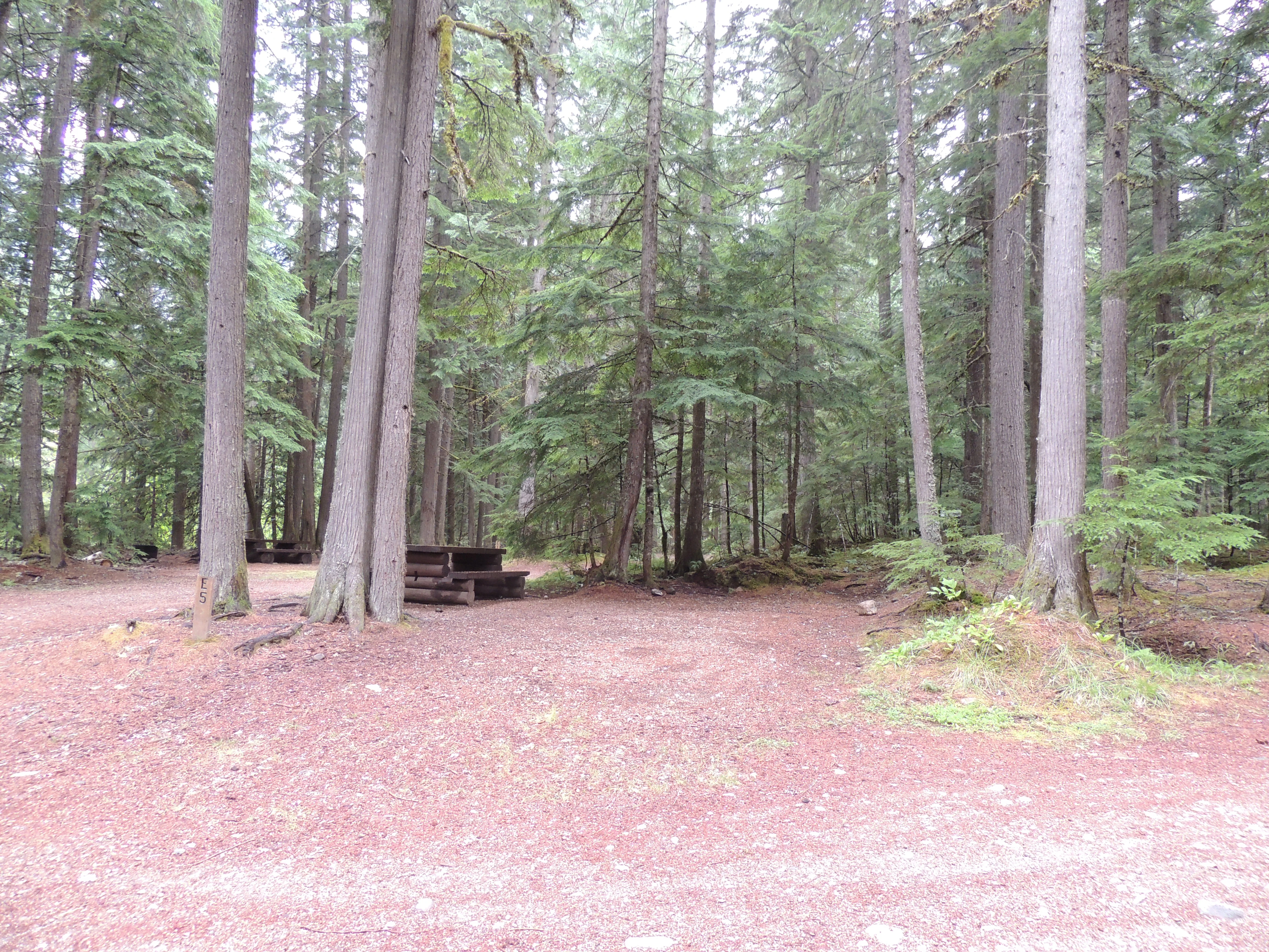 Photo: Recreation Sites and Trails BC. © Province of British Columbia, licensed under the Open Government Licence – British Columbia. Noisy Creek, photo 15
