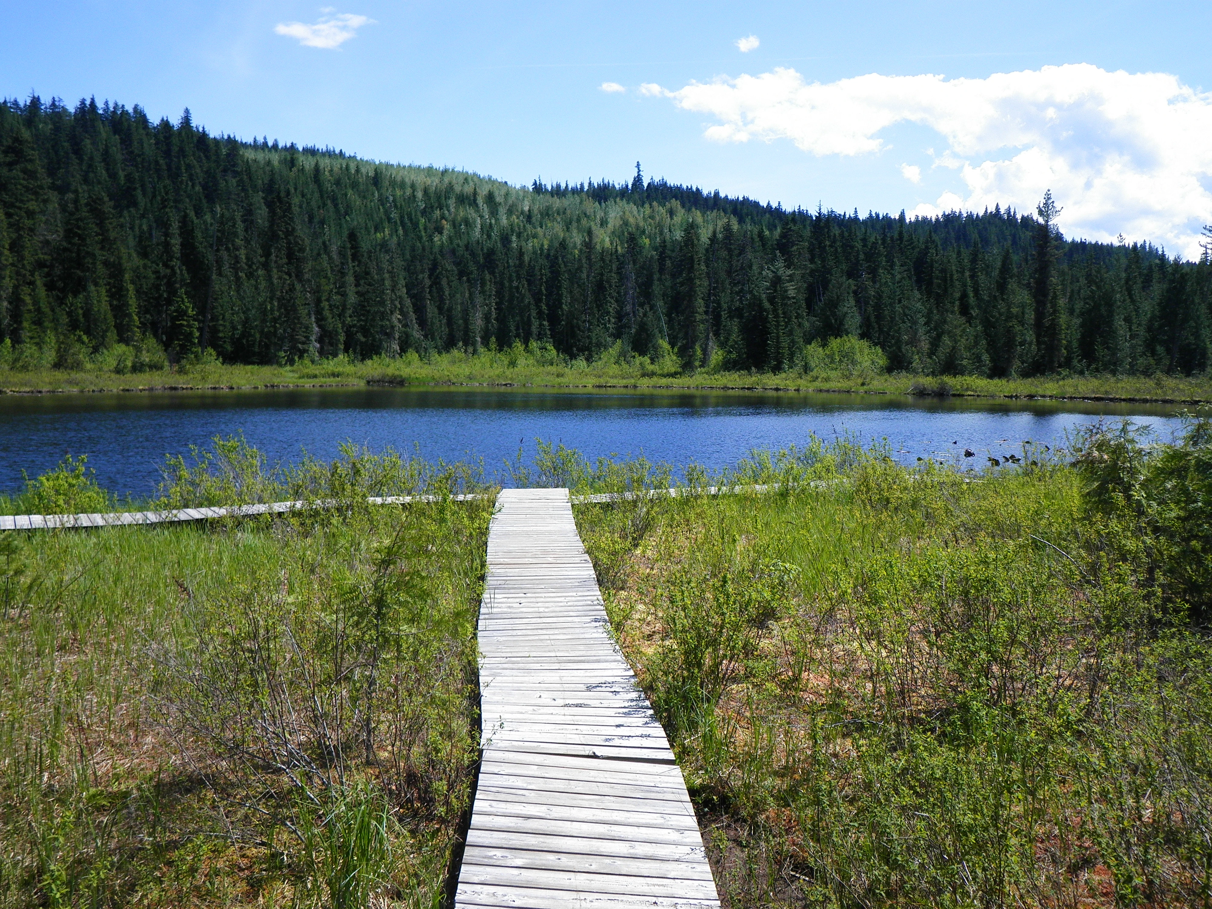 Photo: Recreation Sites and Trails BC. © Province of British Columbia, licensed under the Open Government Licence – British Columbia. Spruce Lake