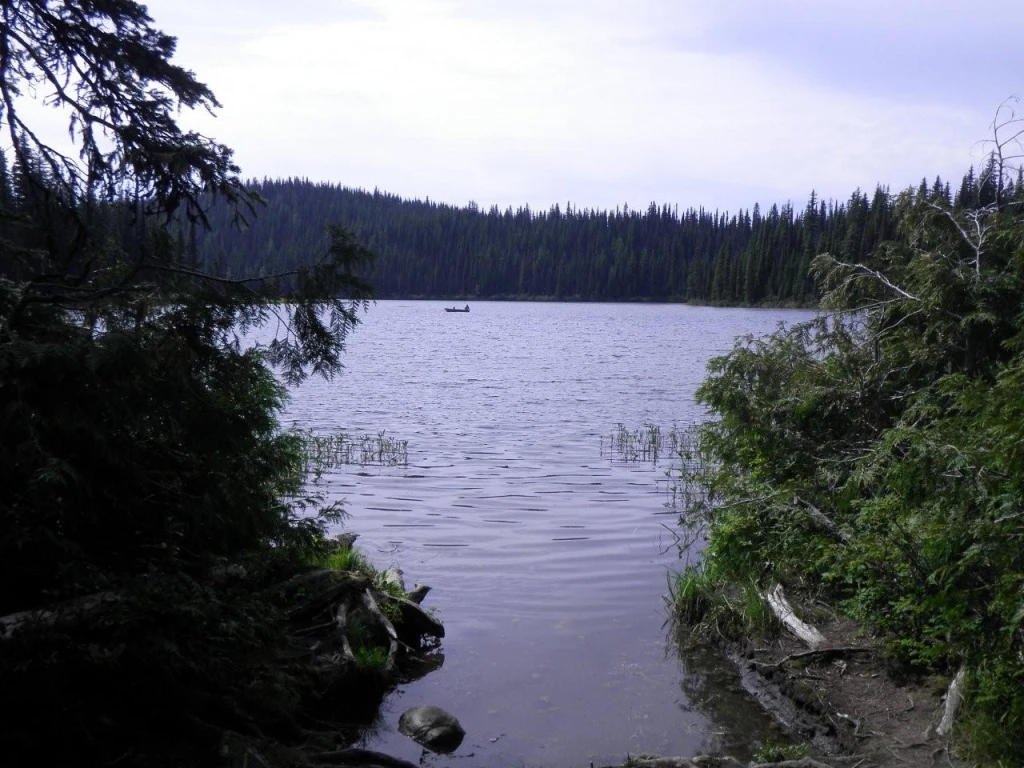 Photo: Recreation Sites and Trails BC. © Province of British Columbia, licensed under the Open Government Licence – British Columbia. Haggkvist Lake