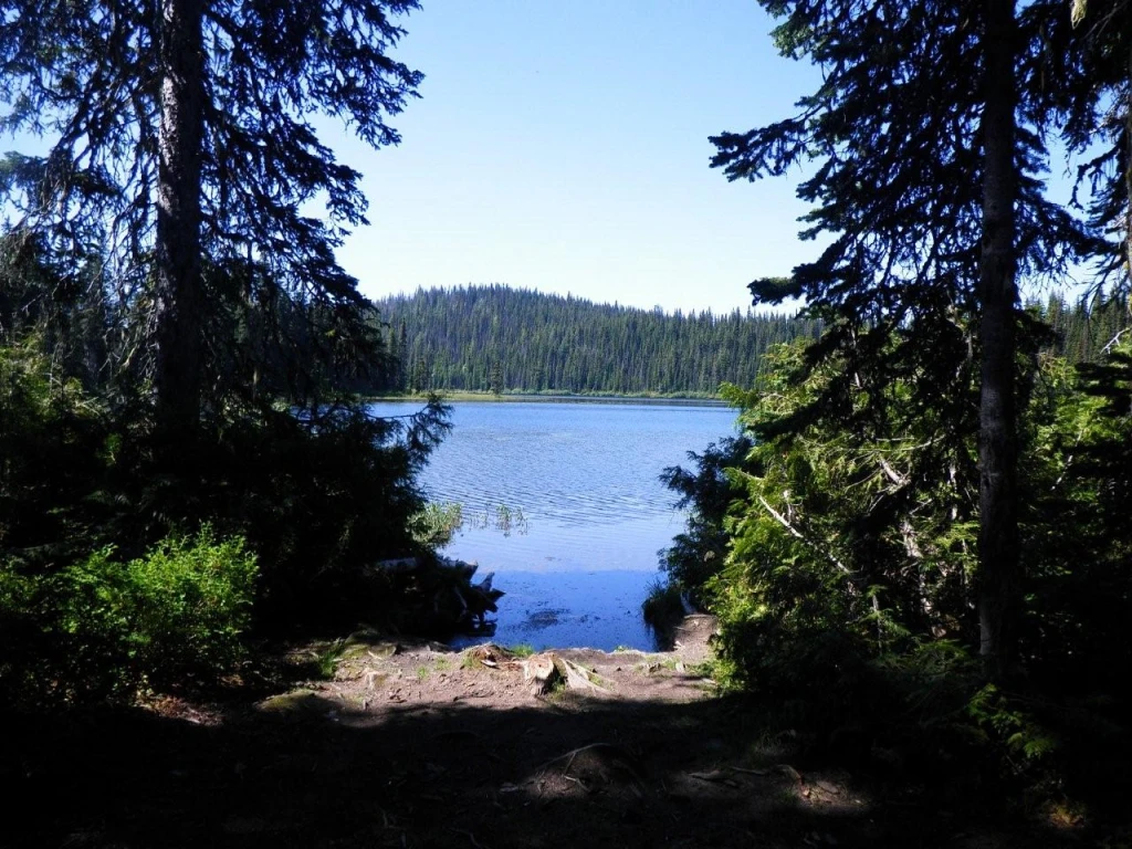 Photo: Recreation Sites and Trails BC. © Province of British Columbia, licensed under the Open Government Licence – British Columbia. Haggkvist Lake, photo 2