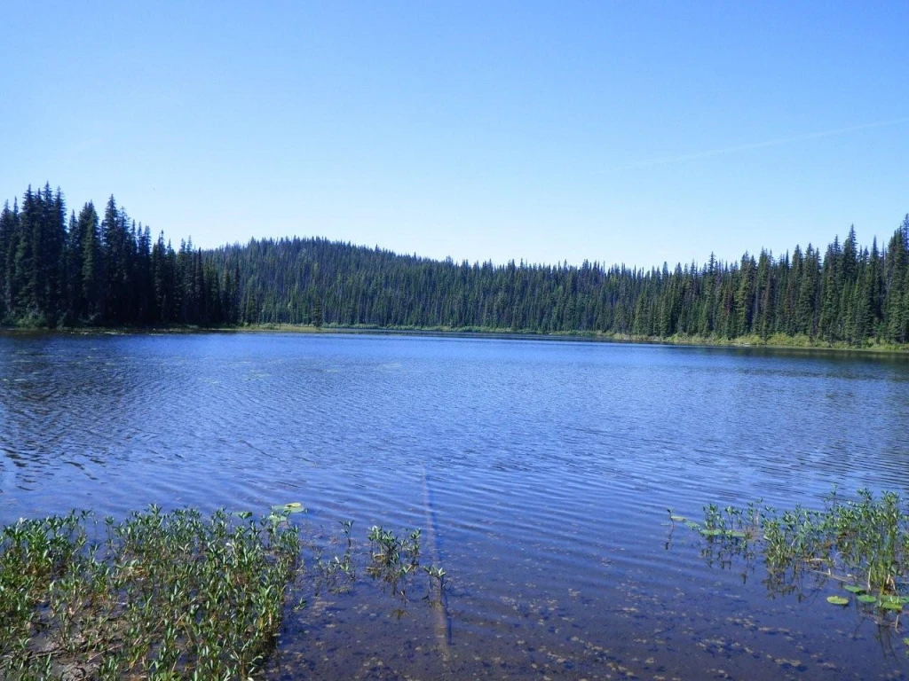 Photo: Recreation Sites and Trails BC. © Province of British Columbia, licensed under the Open Government Licence – British Columbia. Haggkvist Lake, photo 3