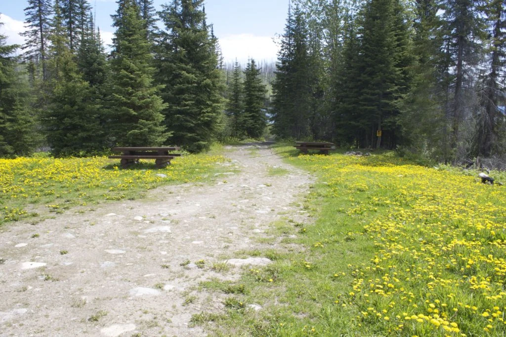 Photo: Recreation Sites and Trails BC. © Province of British Columbia, licensed under the Open Government Licence – British Columbia. Gorman Lake, photo 2