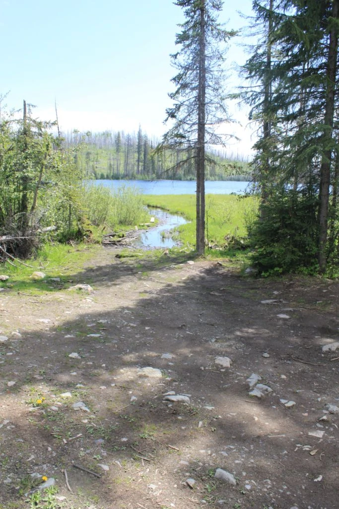 Photo: Recreation Sites and Trails BC. © Province of British Columbia, licensed under the Open Government Licence – British Columbia. Gorman Lake