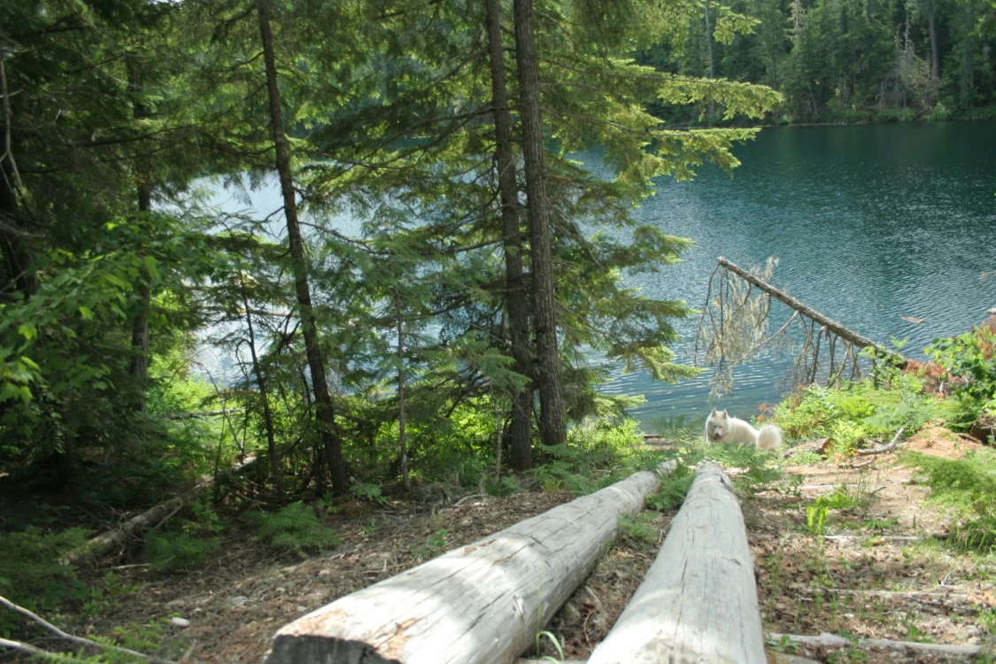 Photo: Recreation Sites and Trails BC. © Province of British Columbia, licensed under the Open Government Licence – British Columbia. Nellie Lake, photo 2