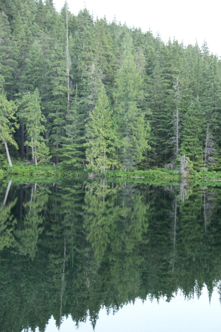 Photo: Recreation Sites and Trails BC. © Province of British Columbia, licensed under the Open Government Licence – British Columbia. Nellie Lake, photo 15