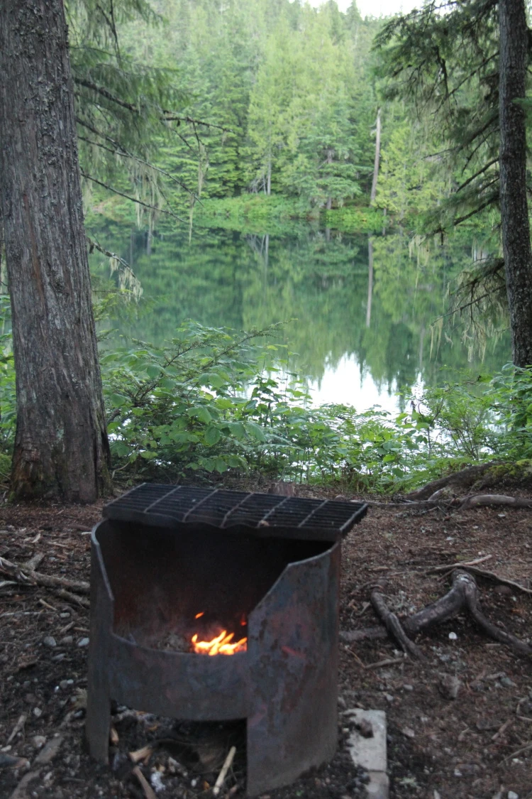 Photo: Recreation Sites and Trails BC. © Province of British Columbia, licensed under the Open Government Licence – British Columbia. Nellie Lake, photo 13