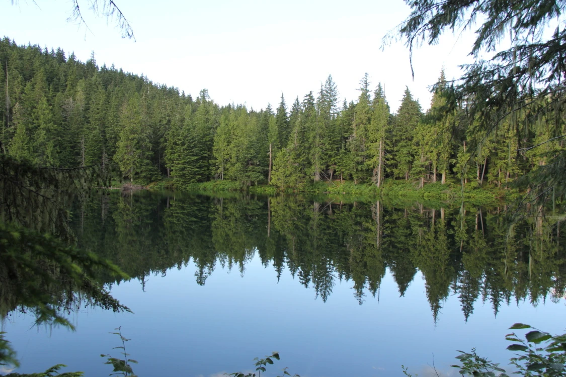 Photo: Recreation Sites and Trails BC. © Province of British Columbia, licensed under the Open Government Licence – British Columbia. Nellie Lake, photo 17