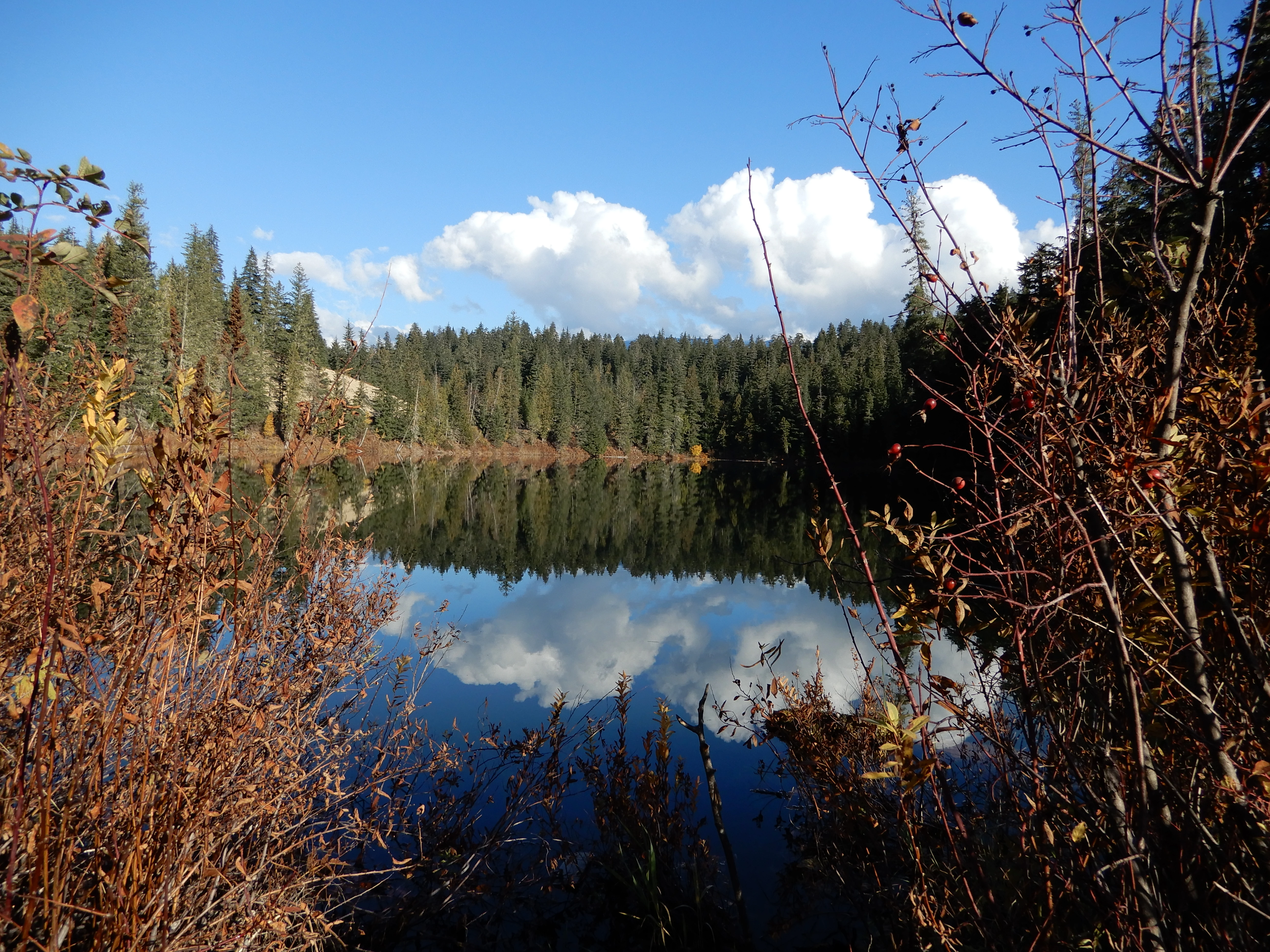 Photo: Recreation Sites and Trails BC. © Province of British Columbia, licensed under the Open Government Licence – British Columbia. Nellie Lake, photo 21