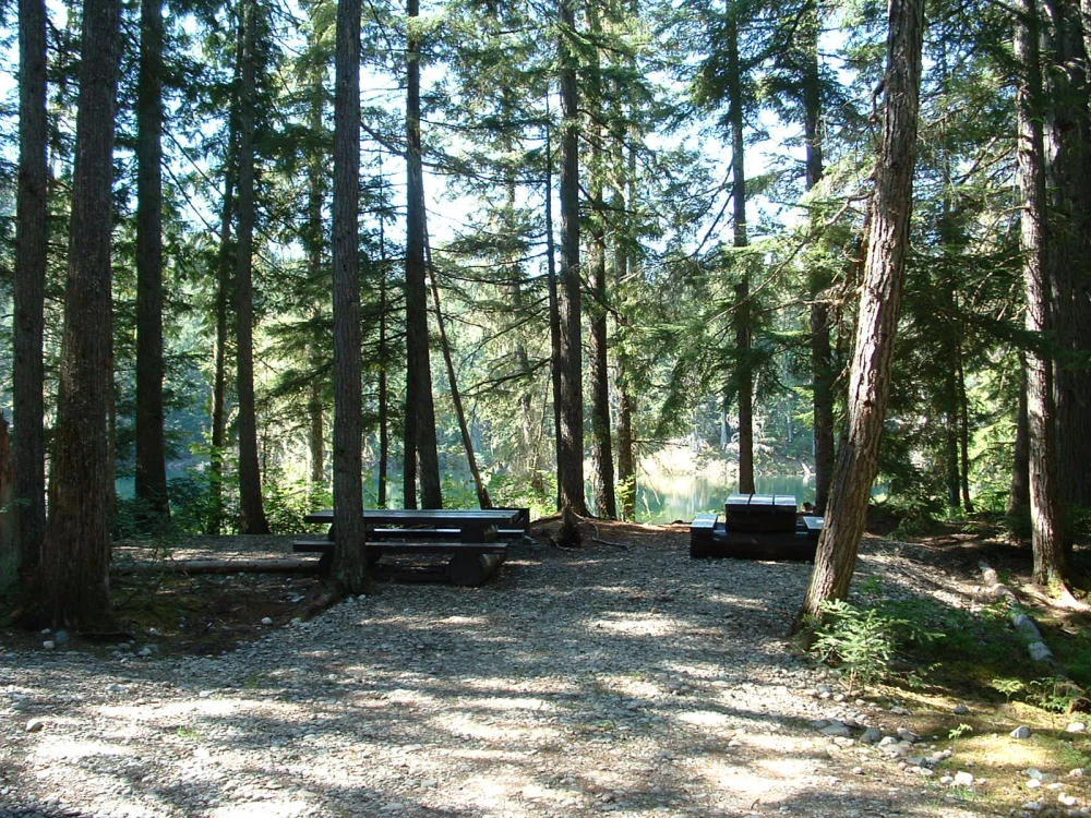 Photo: Recreation Sites and Trails BC. © Province of British Columbia, licensed under the Open Government Licence – British Columbia. Nellie Lake, photo 7