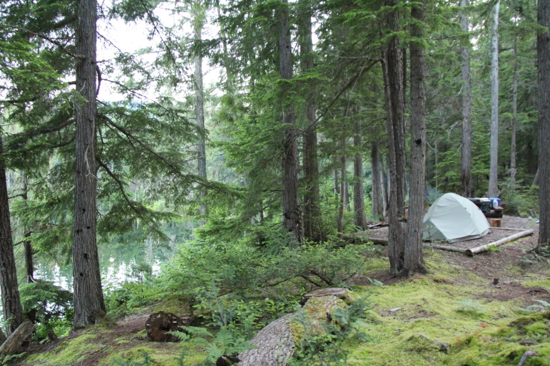 Photo: Recreation Sites and Trails BC. © Province of British Columbia, licensed under the Open Government Licence – British Columbia. Nellie Lake, photo 14