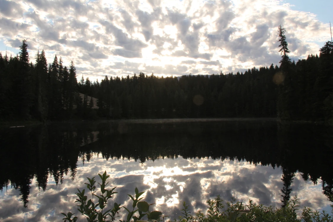 Photo: Recreation Sites and Trails BC. © Province of British Columbia, licensed under the Open Government Licence – British Columbia. Nellie Lake, photo 18