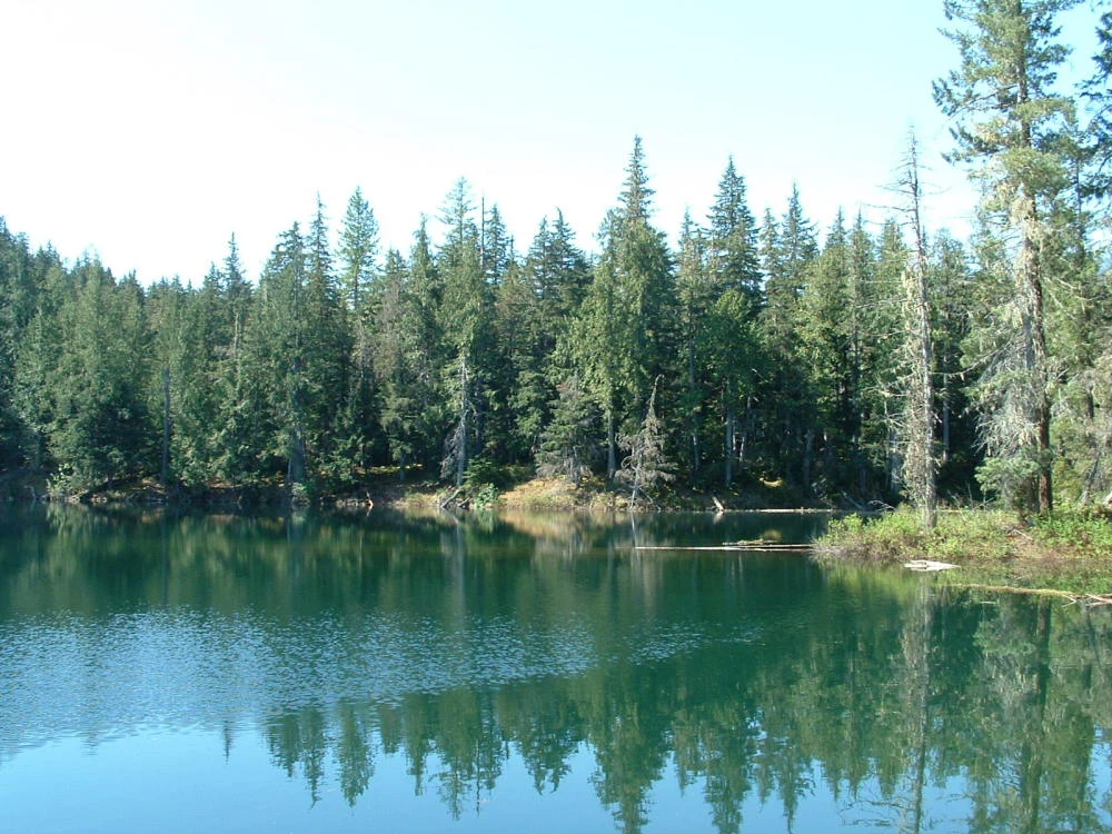 Photo: Recreation Sites and Trails BC. © Province of British Columbia, licensed under the Open Government Licence – British Columbia. Nellie Lake, photo 8