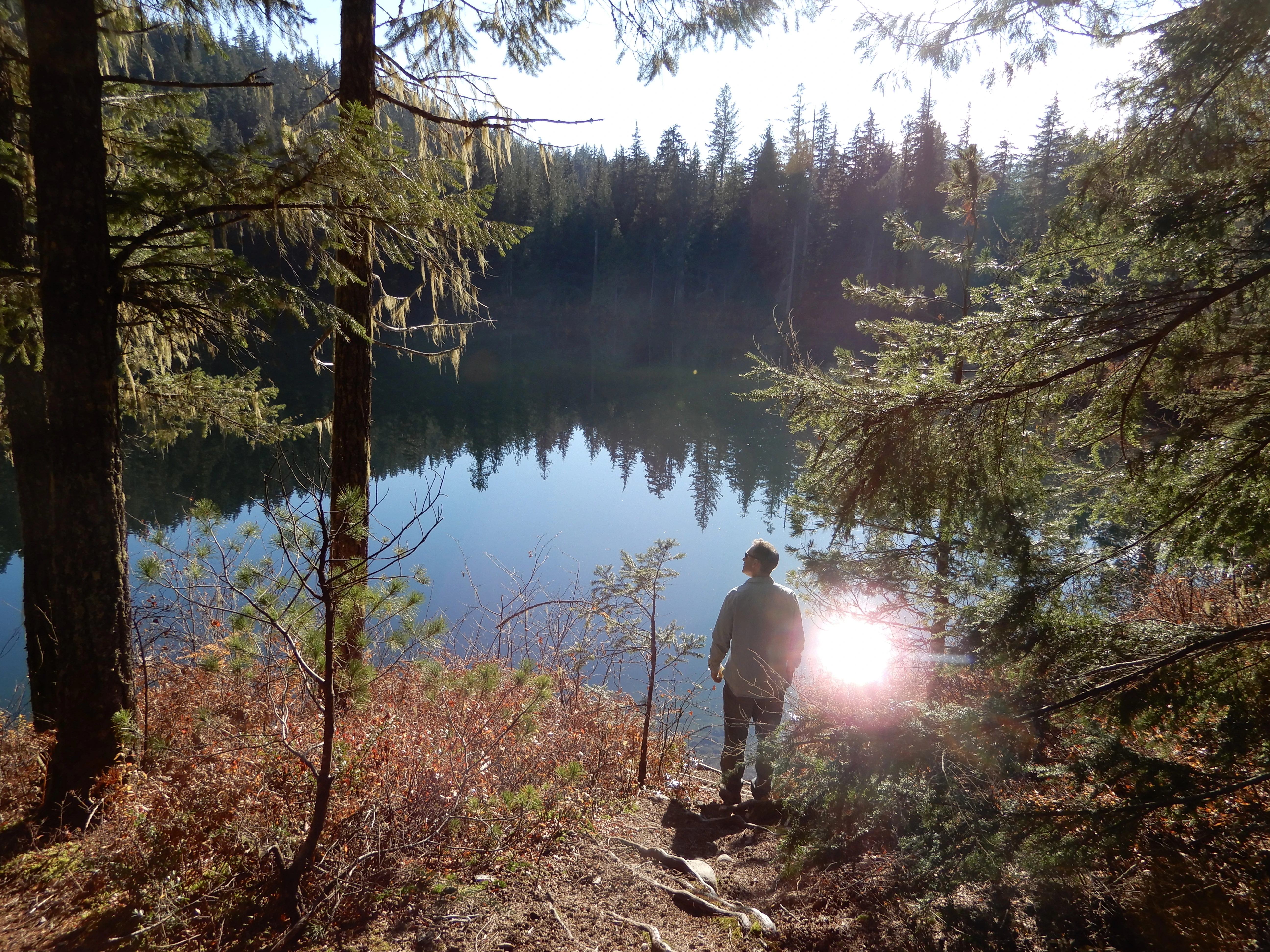 Photo: Recreation Sites and Trails BC. © Province of British Columbia, licensed under the Open Government Licence – British Columbia. Nellie Lake, photo 19