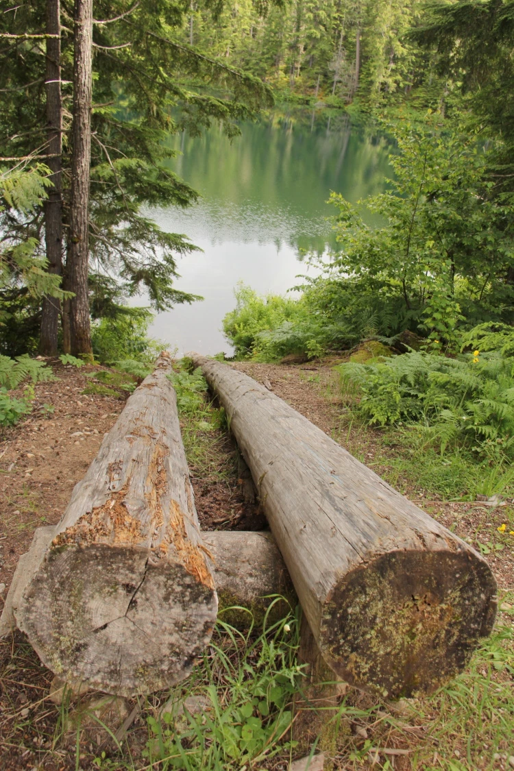 Photo: Recreation Sites and Trails BC. © Province of British Columbia, licensed under the Open Government Licence – British Columbia. Nellie Lake, photo 9