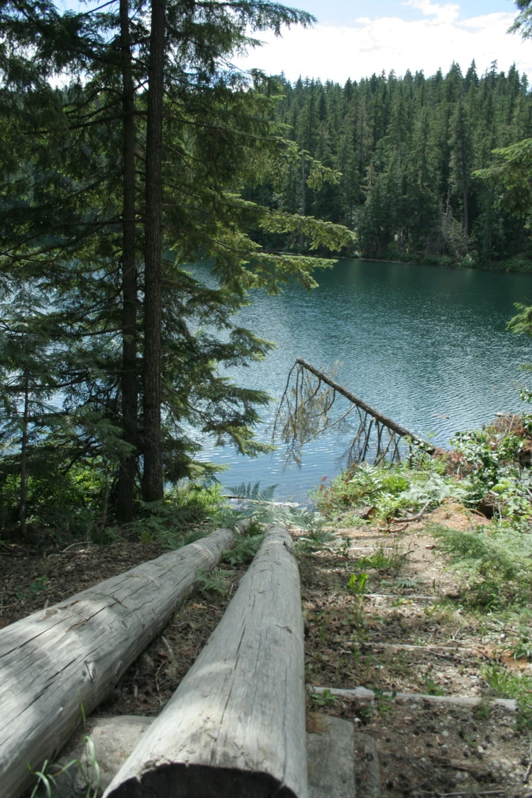 Photo: Recreation Sites and Trails BC. © Province of British Columbia, licensed under the Open Government Licence – British Columbia. Nellie Lake, photo 1