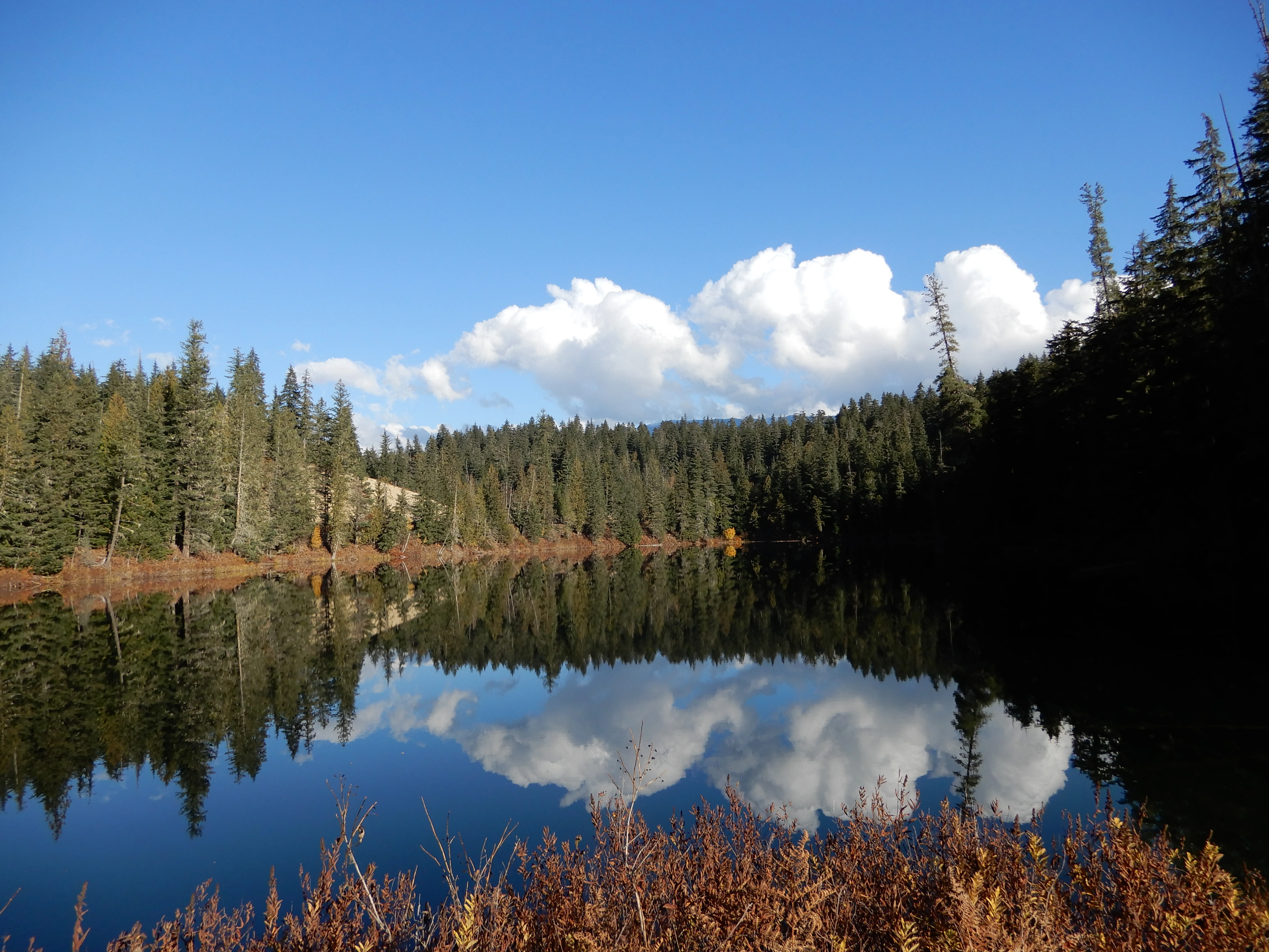 Photo: Recreation Sites and Trails BC. © Province of British Columbia, licensed under the Open Government Licence – British Columbia. Nellie Lake, photo 20