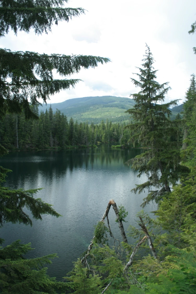 Photo: Recreation Sites and Trails BC. © Province of British Columbia, licensed under the Open Government Licence – British Columbia. Nellie Lake, photo 4