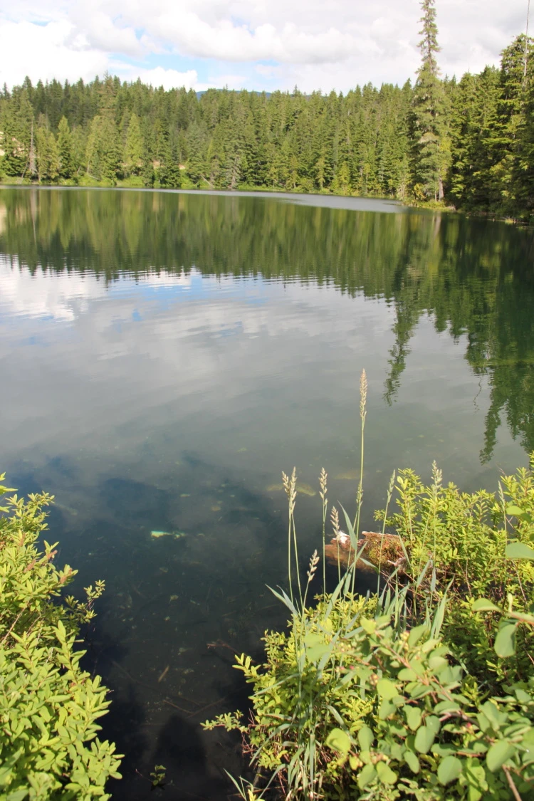 Photo: Recreation Sites and Trails BC. © Province of British Columbia, licensed under the Open Government Licence – British Columbia. Nellie Lake, photo 12
