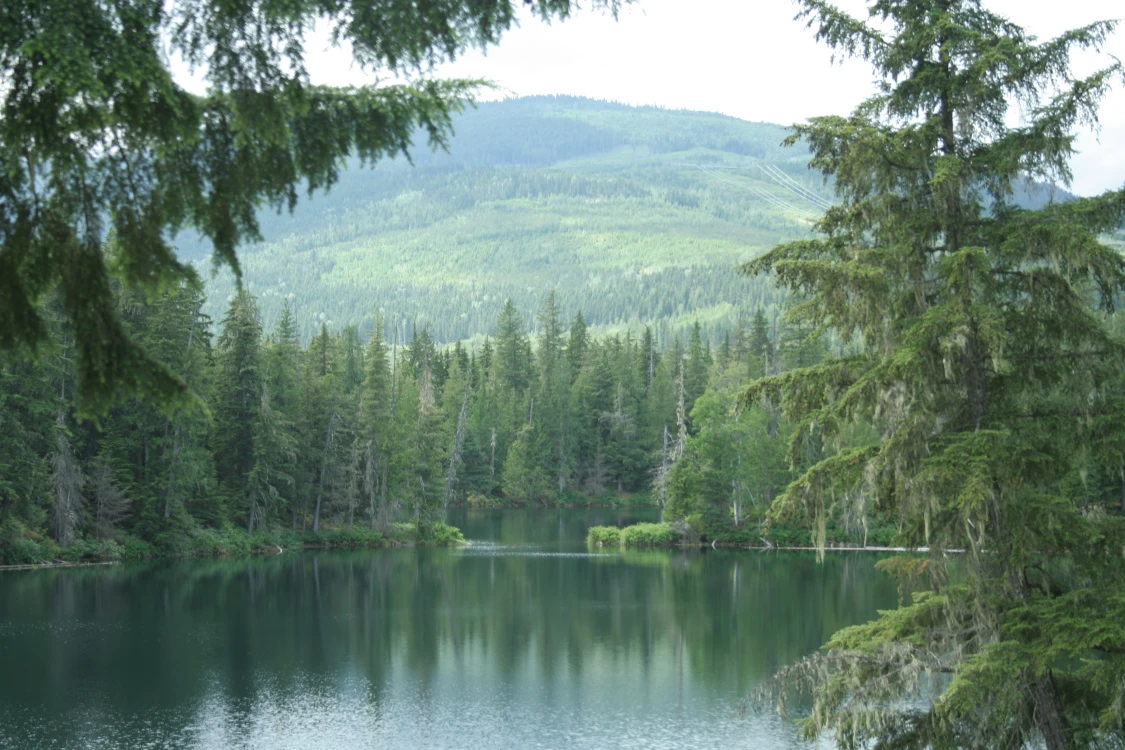 Photo: Recreation Sites and Trails BC. © Province of British Columbia, licensed under the Open Government Licence – British Columbia. Nellie Lake, photo 3