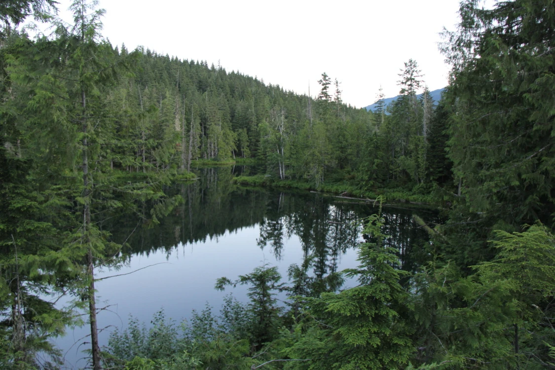 Photo: Recreation Sites and Trails BC. © Province of British Columbia, licensed under the Open Government Licence – British Columbia. Nellie Lake, photo 16
