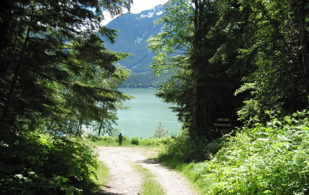 Photo: Recreation Sites and Trails BC. © Province of British Columbia, licensed under the Open Government Licence – British Columbia. Mud Lake West, photo 5