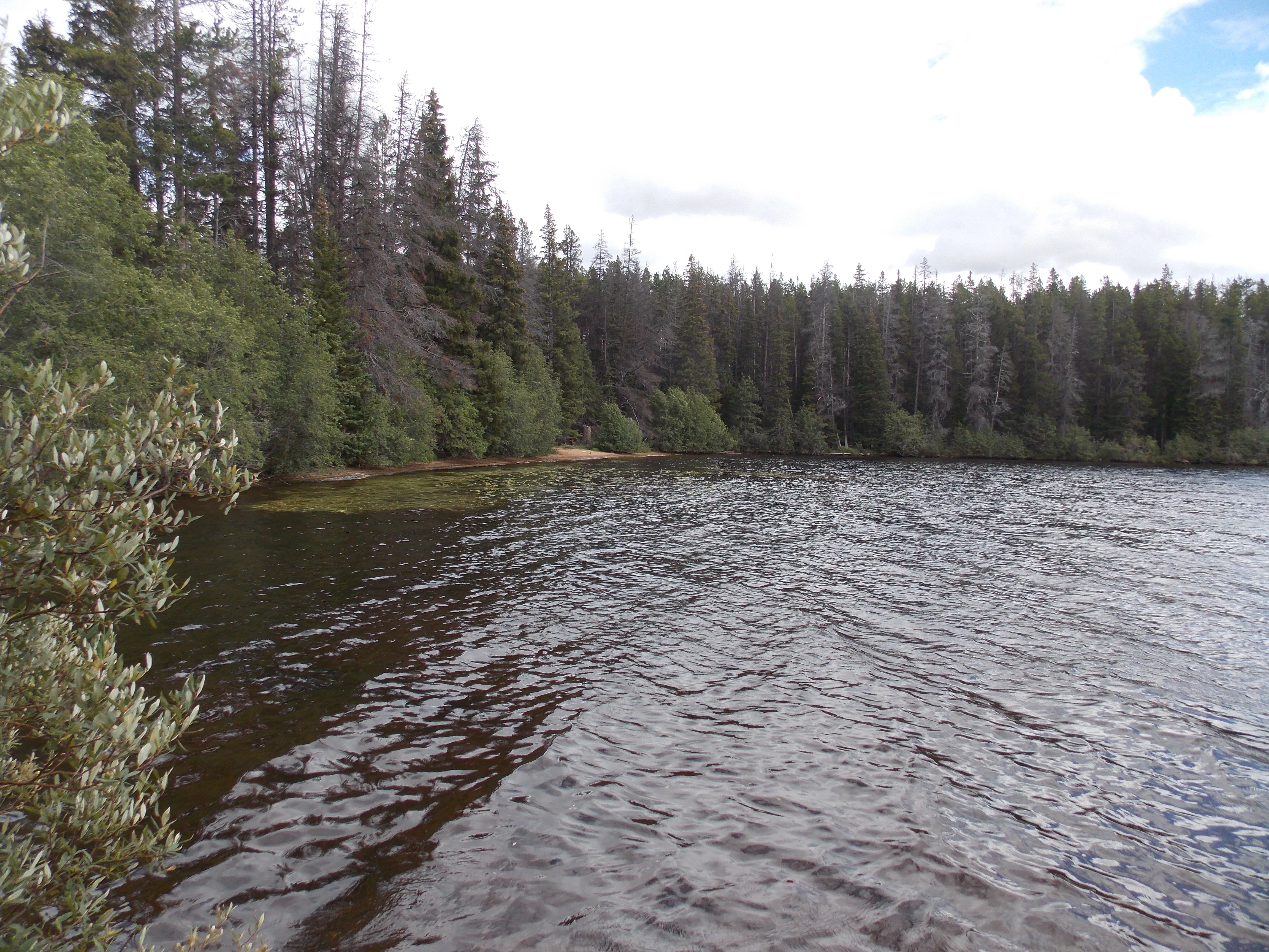 Photo: Recreation Sites and Trails BC. © Province of British Columbia, licensed under the Open Government Licence – British Columbia. Paradise Lake, photo 5