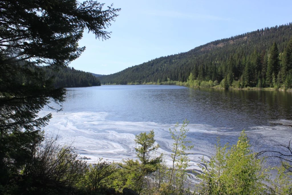 Photo: Recreation Sites and Trails BC. © Province of British Columbia, licensed under the Open Government Licence – British Columbia. Snohoosh Lake North, photo 3