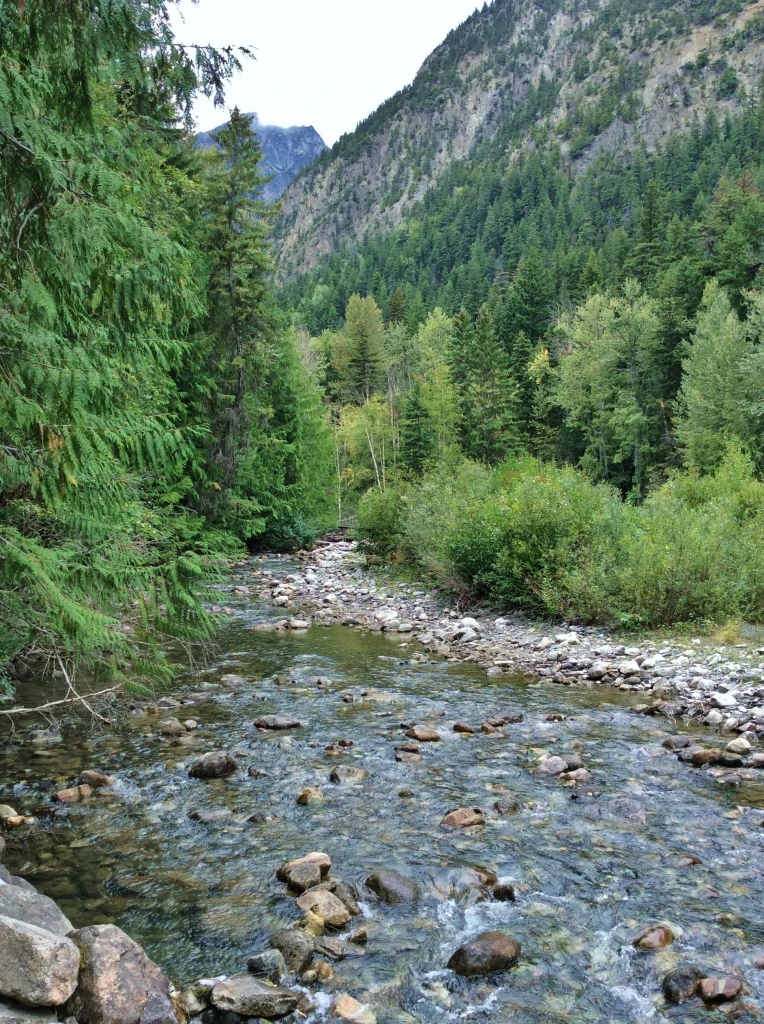 Photo: Recreation Sites and Trails BC. © Province of British Columbia, licensed under the Open Government Licence – British Columbia. Gott Creek