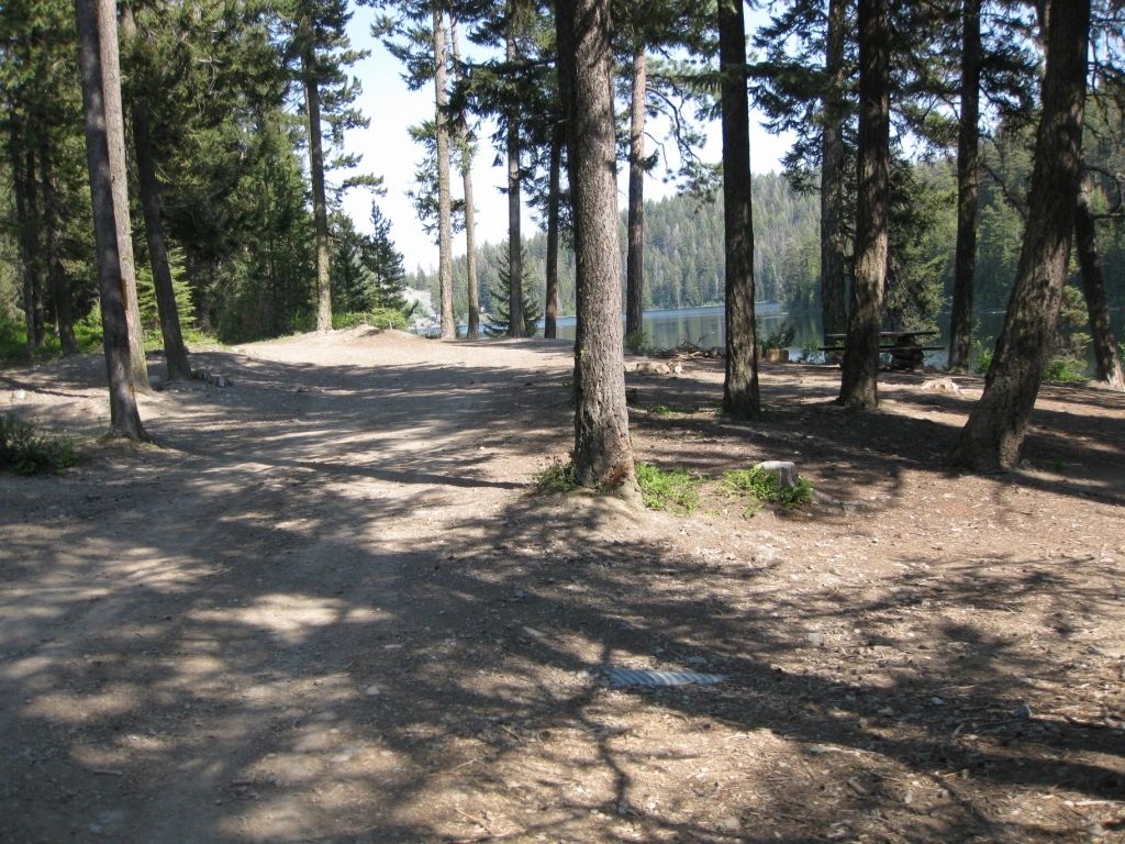 Photo: Recreation Sites and Trails BC. © Province of British Columbia, licensed under the Open Government Licence – British Columbia. Gillis Lake West, photo 3