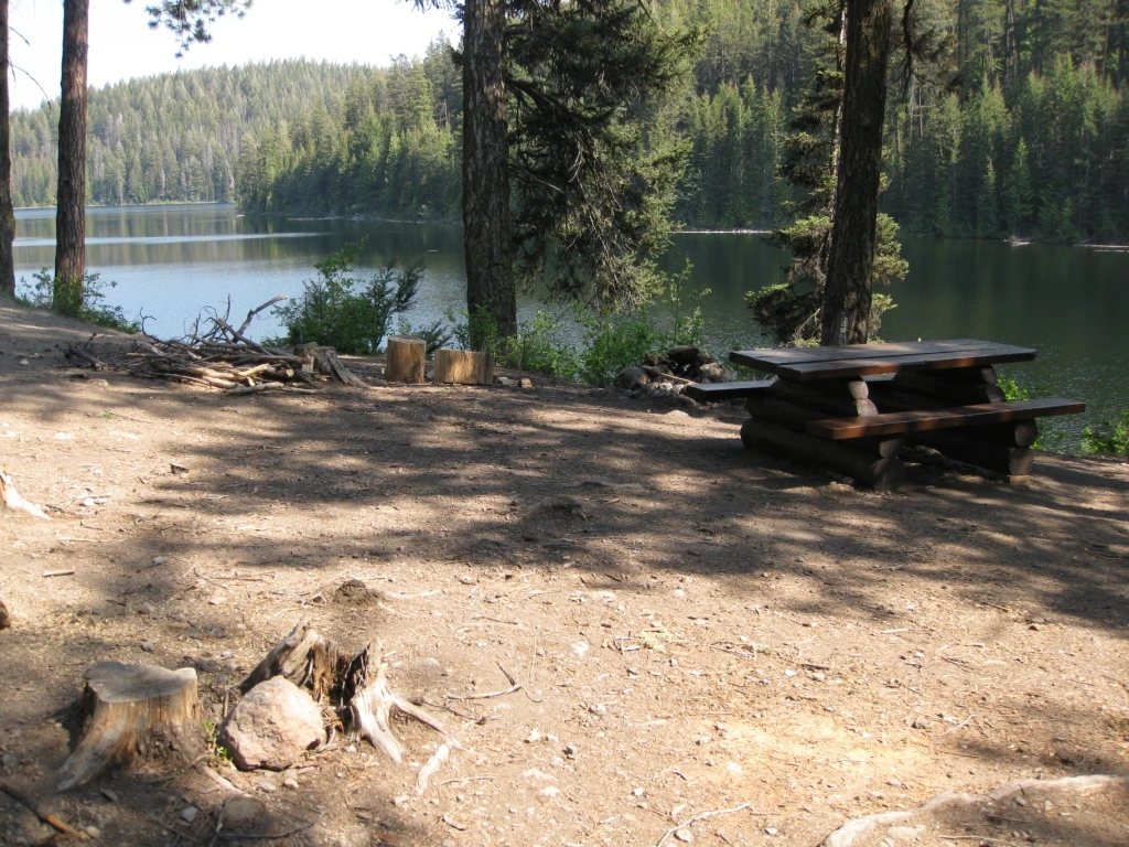 Photo: Recreation Sites and Trails BC. © Province of British Columbia, licensed under the Open Government Licence – British Columbia. Gillis Lake West, photo 4