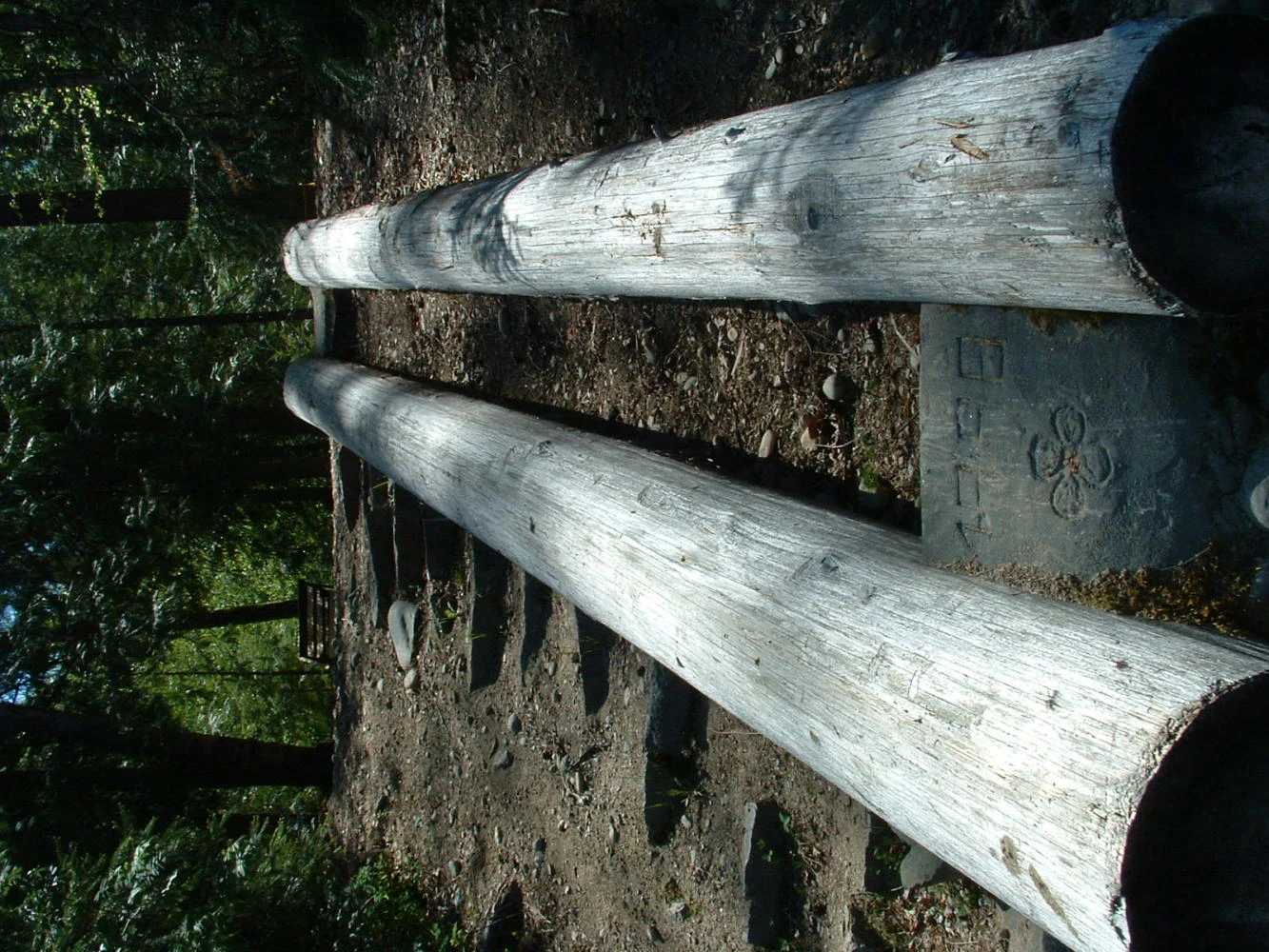 Photo: Recreation Sites and Trails BC. © Province of British Columbia, licensed under the Open Government Licence – British Columbia. Humamilt Lake West, photo 4
