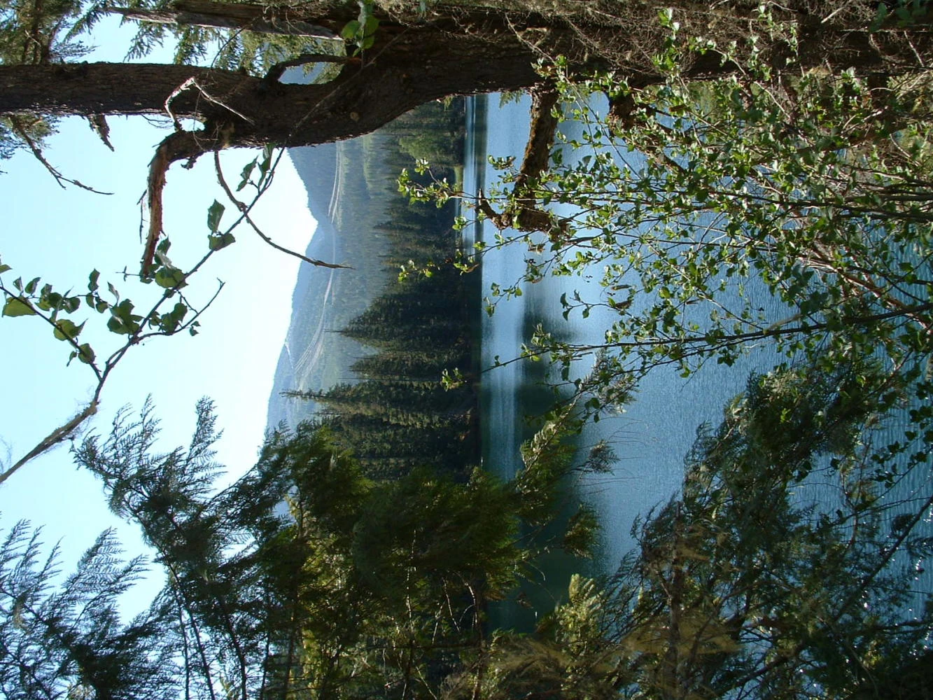 Photo: Recreation Sites and Trails BC. © Province of British Columbia, licensed under the Open Government Licence – British Columbia. Humamilt Lake West, photo 7