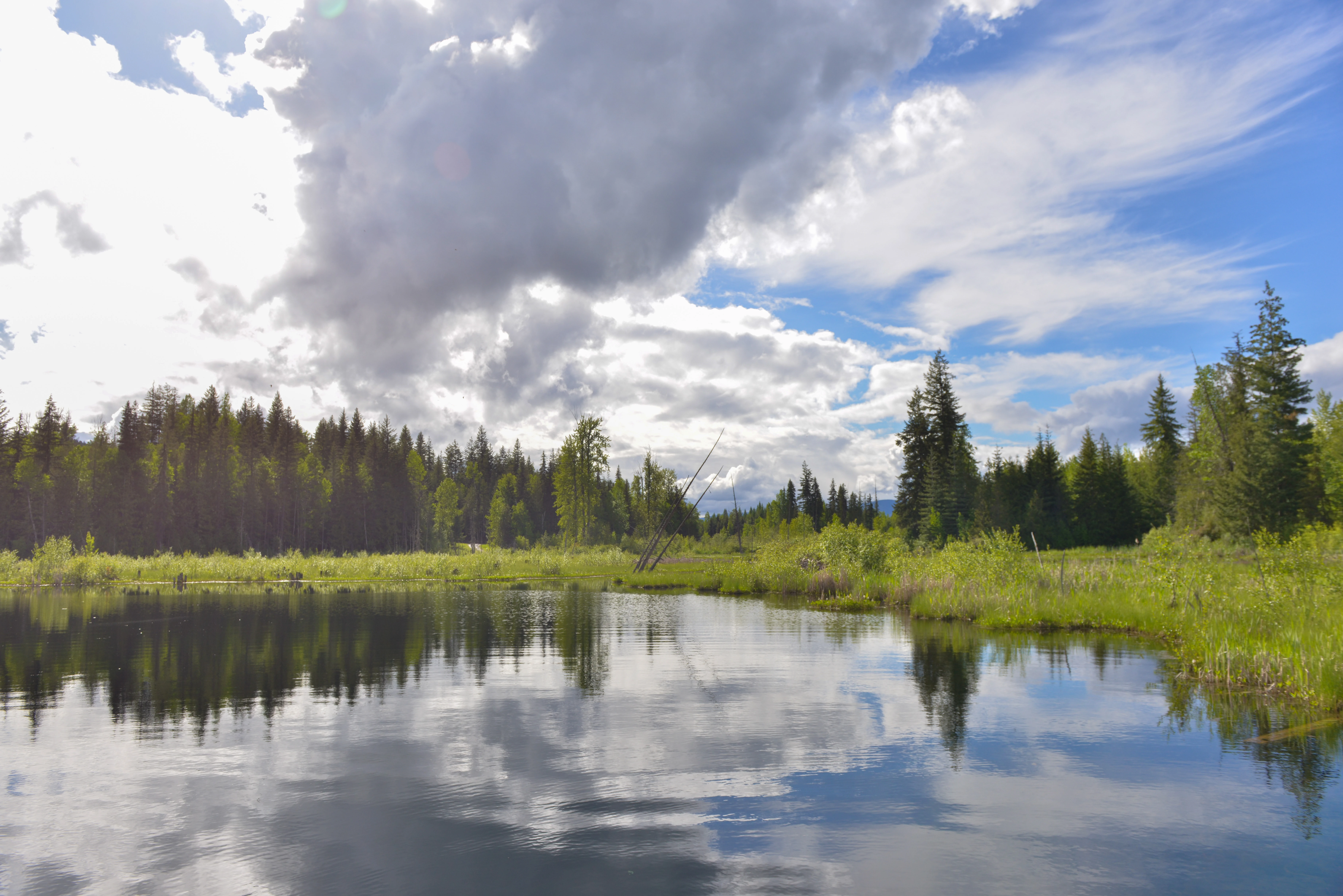 Photo: Recreation Sites and Trails BC. © Province of British Columbia, licensed under the Open Government Licence – British Columbia. Herman Lake, photo 16