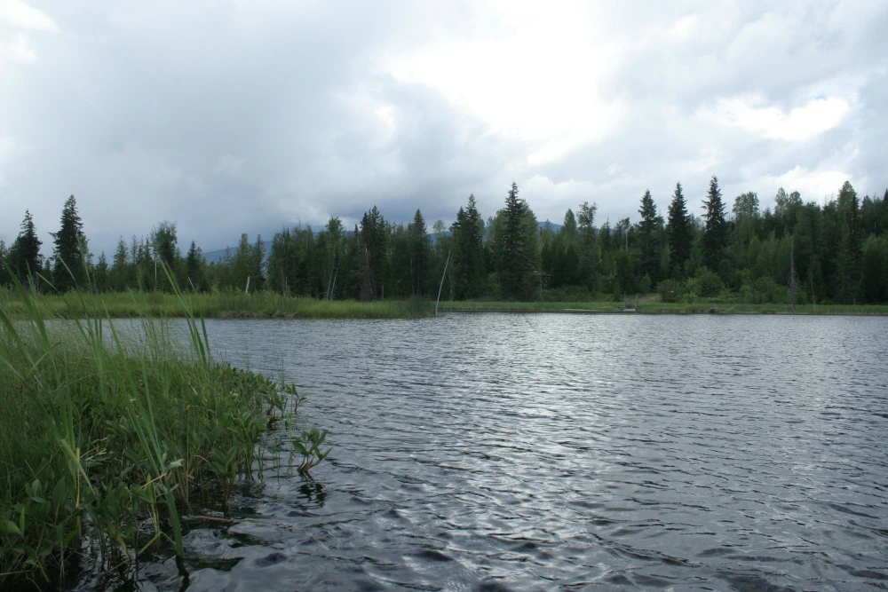 Photo: Recreation Sites and Trails BC. © Province of British Columbia, licensed under the Open Government Licence – British Columbia. Herman Lake, photo 1