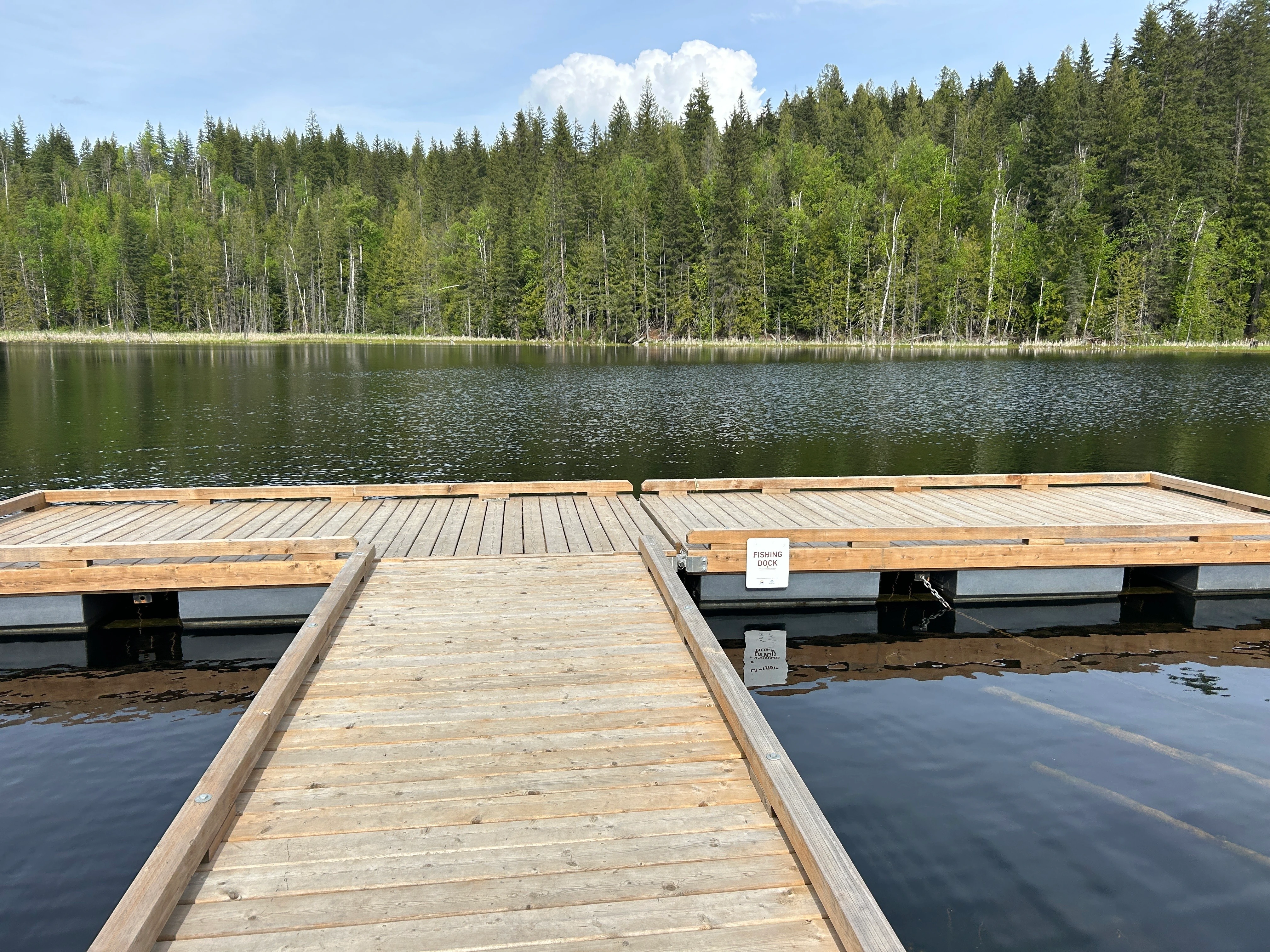 Photo: Recreation Sites and Trails BC. © Province of British Columbia, licensed under the Open Government Licence – British Columbia. Herman Lake, photo 18