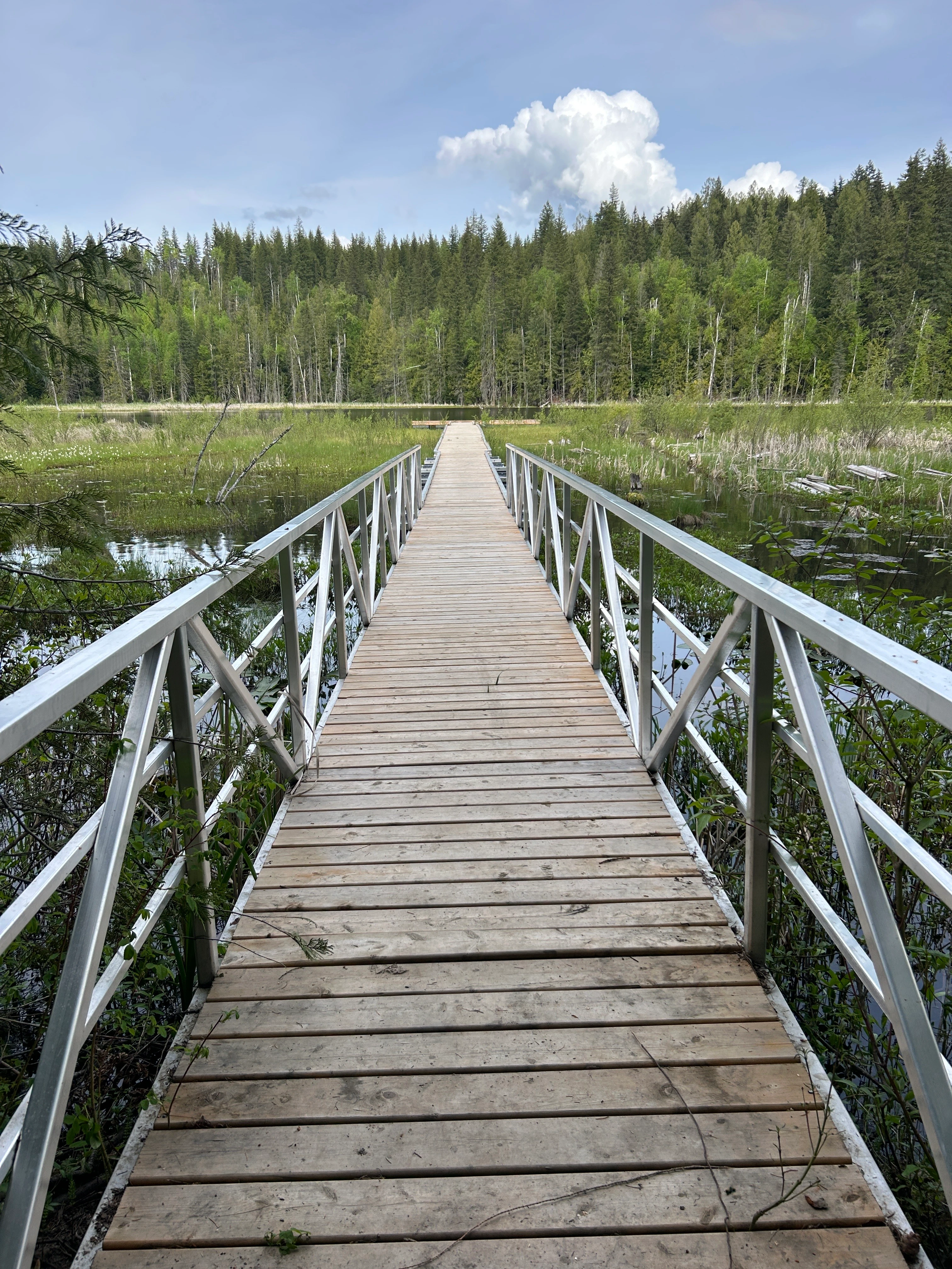 Photo: Recreation Sites and Trails BC. © Province of British Columbia, licensed under the Open Government Licence – British Columbia. Herman Lake, photo 15