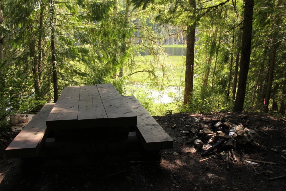 Photo: Recreation Sites and Trails BC. © Province of British Columbia, licensed under the Open Government Licence – British Columbia. Herman Lake, photo 12