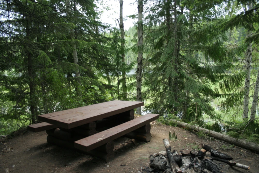 Photo: Recreation Sites and Trails BC. © Province of British Columbia, licensed under the Open Government Licence – British Columbia. Herman Lake, photo 5