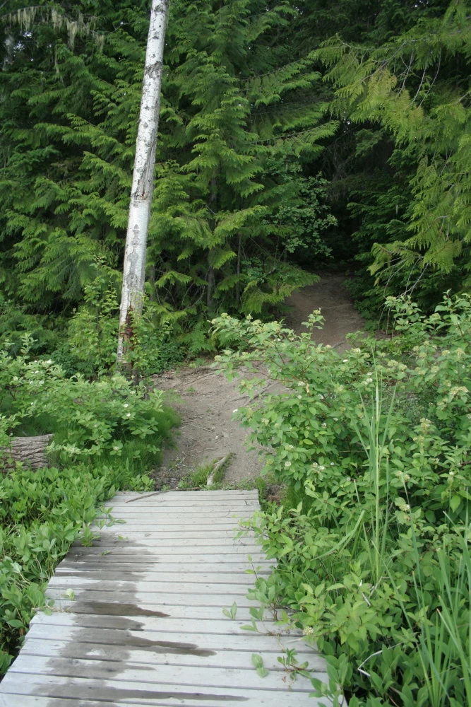 Photo: Recreation Sites and Trails BC. © Province of British Columbia, licensed under the Open Government Licence – British Columbia. Herman Lake, photo 3