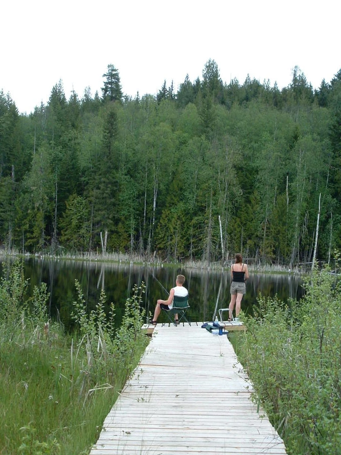 Photo: Recreation Sites and Trails BC. © Province of British Columbia, licensed under the Open Government Licence – British Columbia. Herman Lake, photo 6